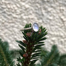 Load image into Gallery viewer, Moonstone silver ring