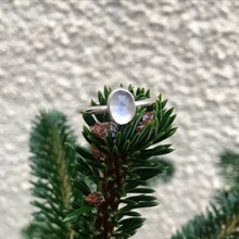 Load image into Gallery viewer, Moonstone silver ring