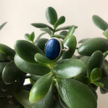 Load image into Gallery viewer, Sodalite sterling silver ring

